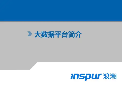 大数据平台简介  ppt课件