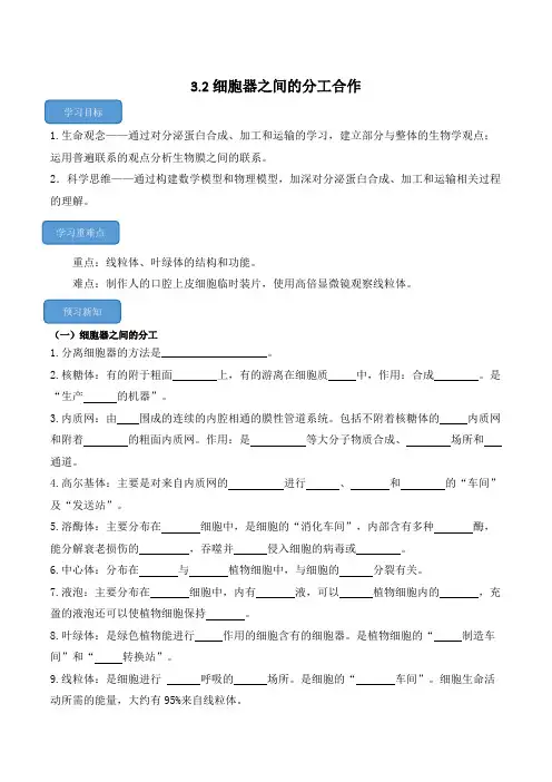 3.2细胞器之间的分工合作高一生物学案(人教版2019必修1分子与细胞)原卷版