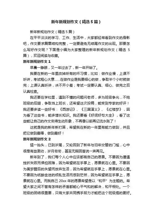 新年新规划作文（精选5篇）