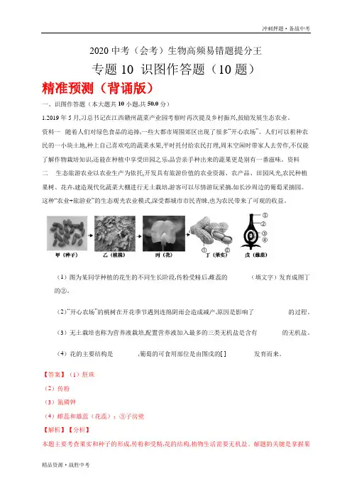 10 识图作答题-2021生物【中考冲刺】高频考点易错题提分试卷(教师版)