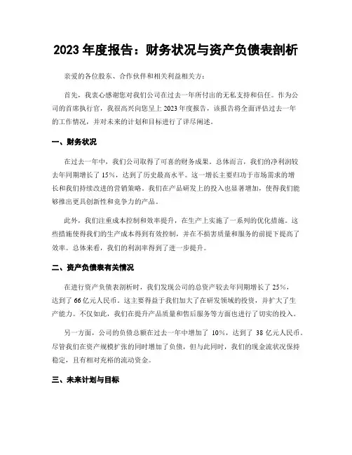 2023年度报告：财务状况与资产负债表剖析