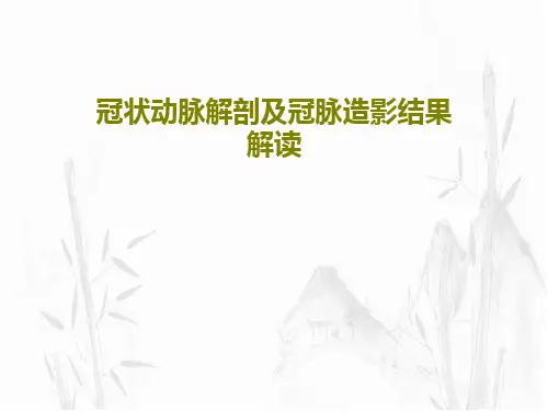 冠状动脉解剖及冠脉造影结果解读71页PPT