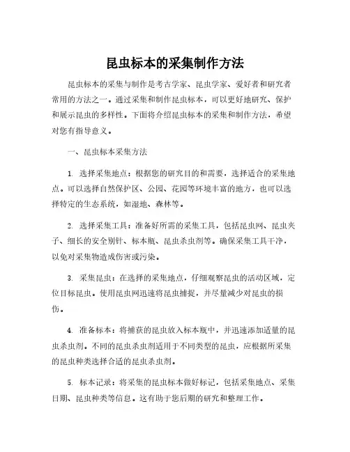 昆虫标本的采集制作方法