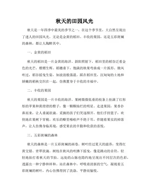 秋天的田园风光