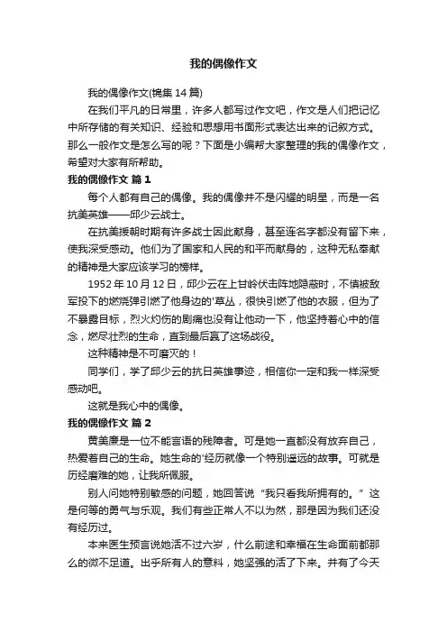 我的偶像作文（锦集14篇）