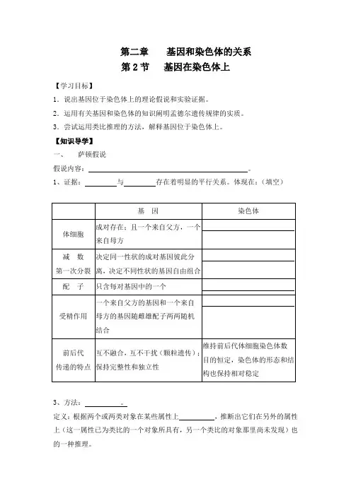 生物：基因在染色体上导学案