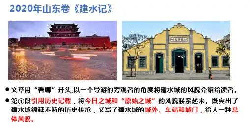 2021年高考散文复习——《建水记(之四》《线条之美》阅读及答案