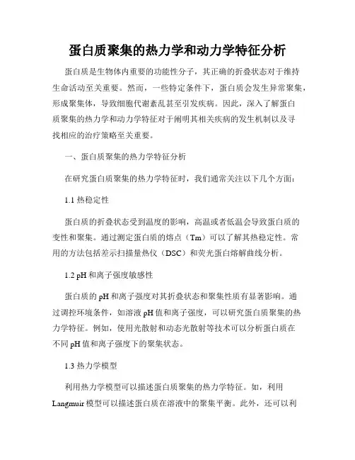 蛋白质聚集的热力学和动力学特征分析