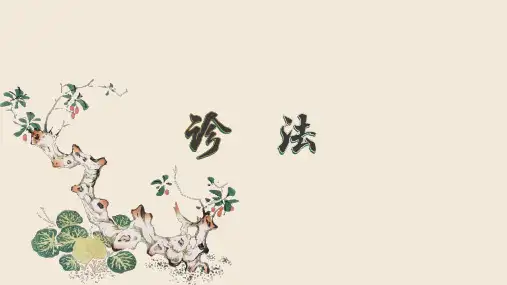中医诊法-望诊(二)