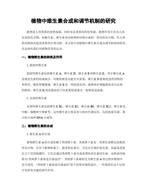 植物中维生素合成和调节机制的研究