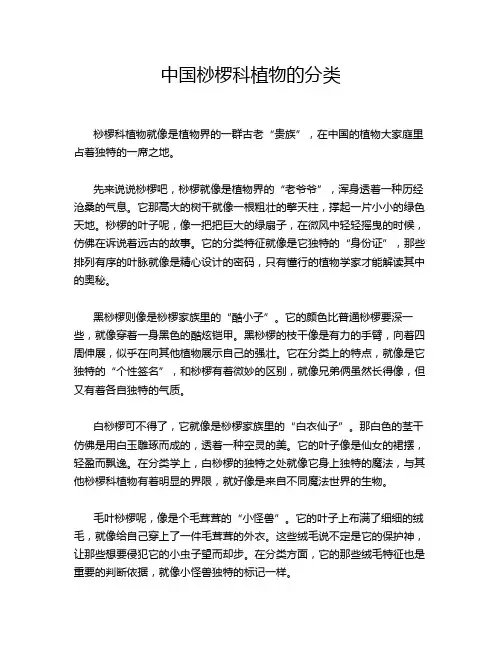 中国桫椤科植物的分类
