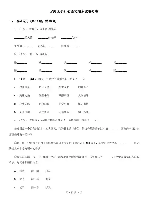 宁河区小升初语文期末试卷C卷