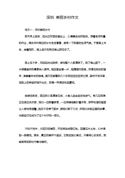 深圳 美丽乡村作文