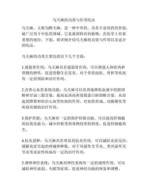 乌天麻的功效与作用吃法