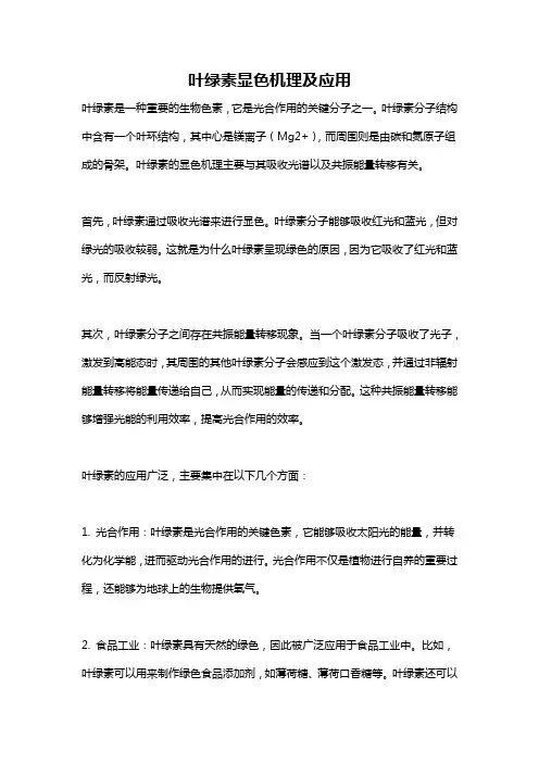 叶绿素显色机理及应用