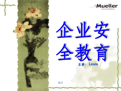 《企业安全教育》PPT课件