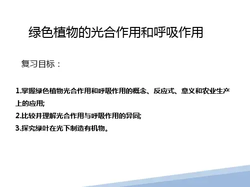 绿色植物的光合作用和呼吸作用