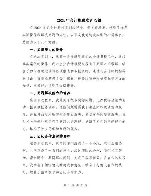2024年会计报税实训心得