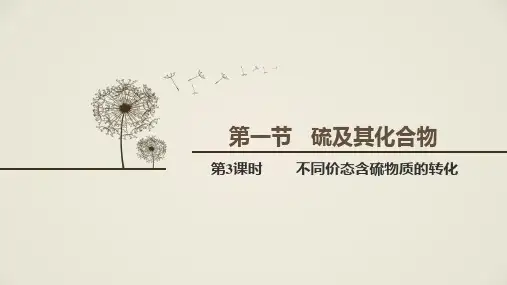 第3课时         不同价态含硫物质的转化