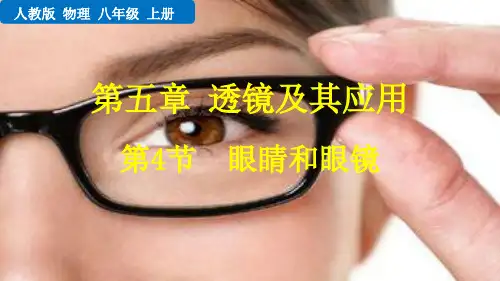 八年级上册物理教学课件眼睛和眼镜(人教版)