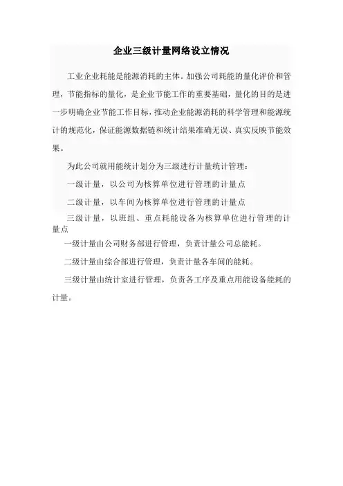 企业三级计量网络设立情1