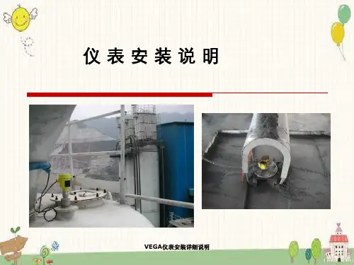 VEGA仪表安装详细说明
