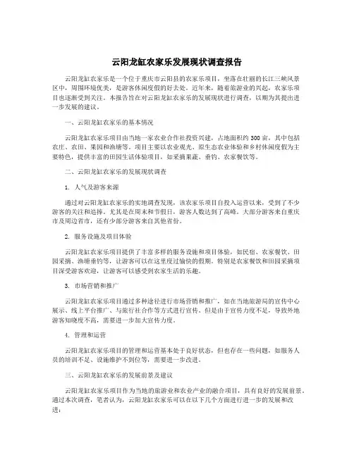 云阳龙缸农家乐发展现状调查报告
