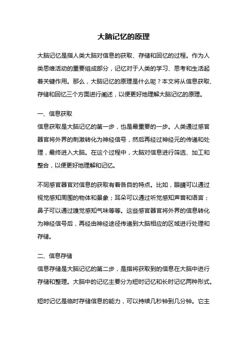 大脑记忆的原理