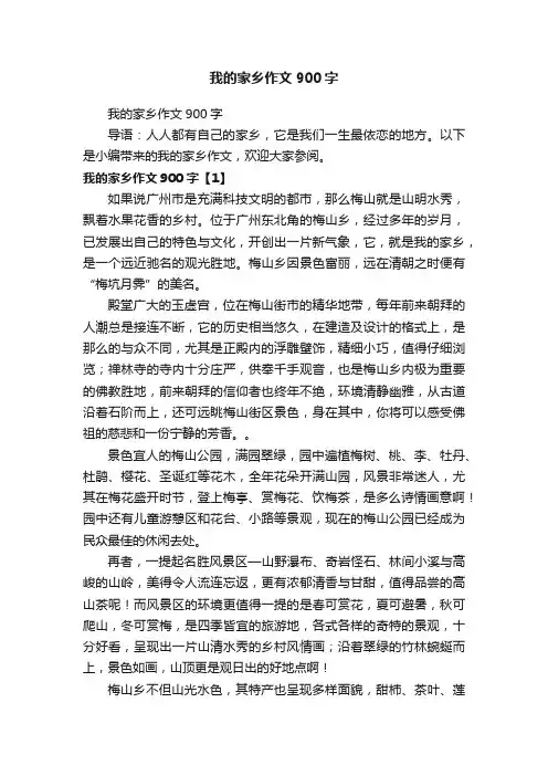 我的家乡作文900字