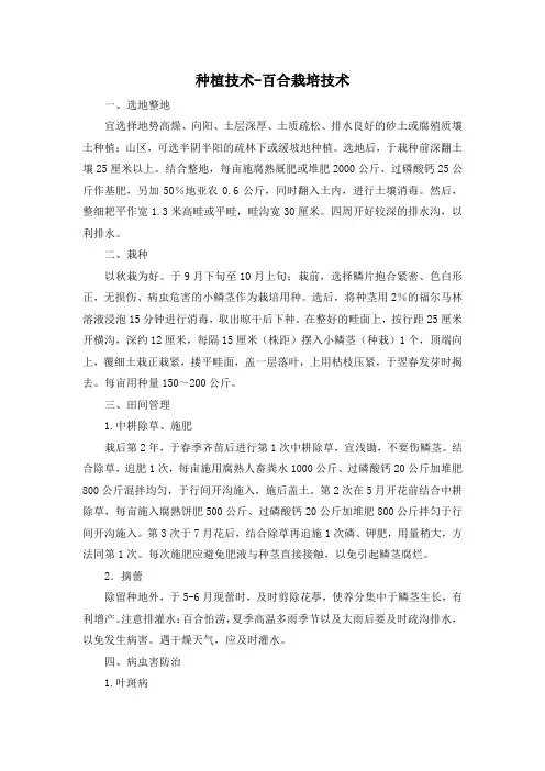 种植技术-百合栽培技术