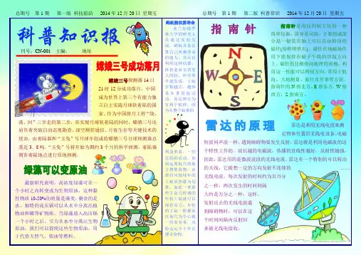 科普知识报2037八开科技电子小报成品模板,科学在我身边手抄报,生活中的科学知识简报,探索创新自然模板
