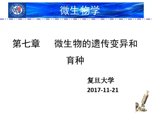 微生物遗传