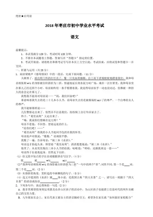2018年山东省枣庄市初中学业水平考试语文试题(含答案)