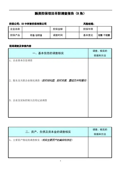 融资担保项目尽职调查报告(B角)