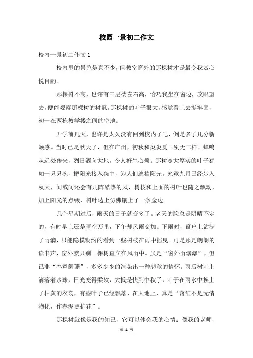 校园一景初二作文
