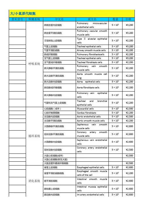 鼠源原代细胞(1)
