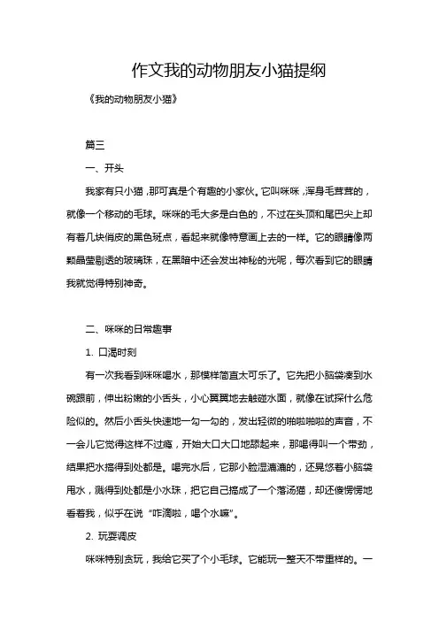 作文我的动物朋友小猫提纲