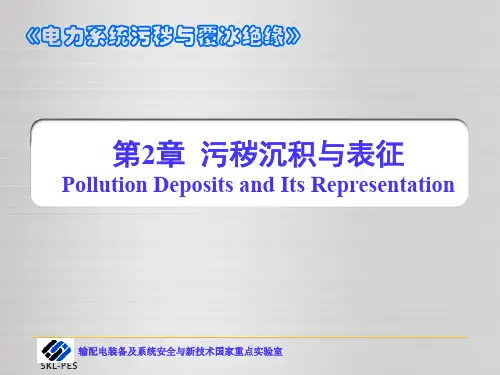 电力系统污秽与覆冰绝缘_2