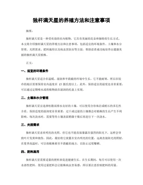 独杆满天星的养殖方法和注意事项