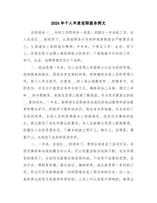 2024年个人年度述职报告例文(六篇)