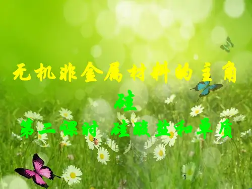 高三化学必修一4.1.2《硅酸盐和单质》课件 人教版