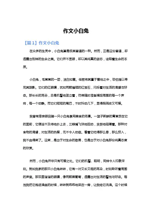 作文小白兔