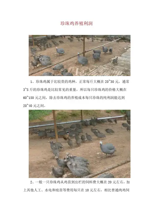 珍珠鸡养殖利润