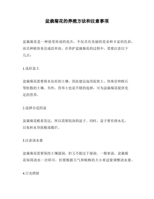 盆栽菊花的养殖方法和注意事项