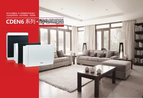 德力西电气 CDEN6 系列 配电照明箱 产品说明书 