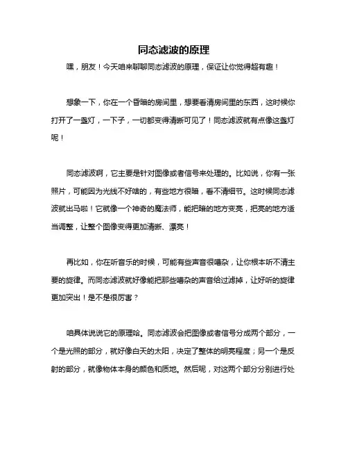 同态滤波的原理