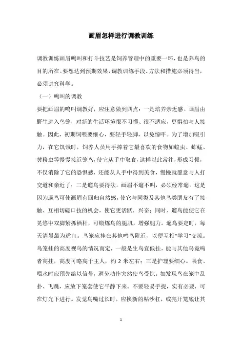 画眉怎样进行调教训练