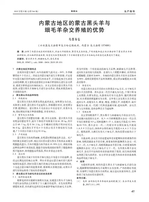 内蒙古地区的蒙古黑头羊与细毛羊杂交养殖的优势