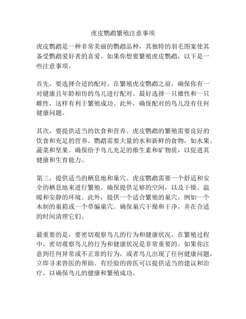 虎皮鹦鹉繁殖注意事项