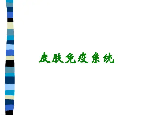 皮肤免疫系统